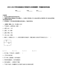 2023-2024学年安徽省安庆市桐城市九年级物理第一学期期末联考试题含答案