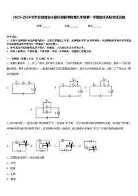 2023-2024学年安徽省安庆宿松县联考物理九年级第一学期期末达标测试试题含答案