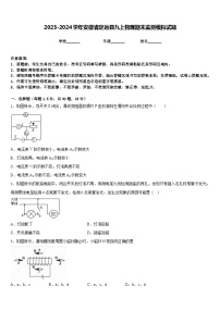 2023-2024学年安徽省定远县九上物理期末监测模拟试题含答案