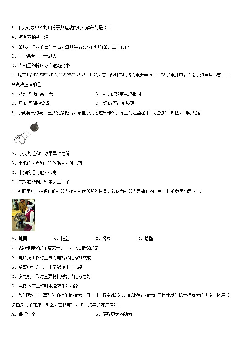 2023-2024学年安徽省合肥市第四十八中学物理九年级第一学期期末经典试题含答案02