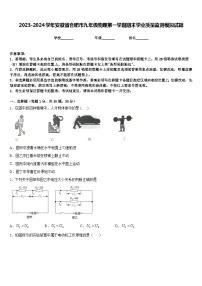 2023-2024学年安徽省合肥市九年级物理第一学期期末学业质量监测模拟试题含答案