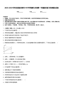 2023-2024学年安徽省合肥市45中学物理九年级第一学期期末复习检测模拟试题含答案