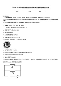 2023-2024学年安徽省含山县物理九上期末调研模拟试题含答案