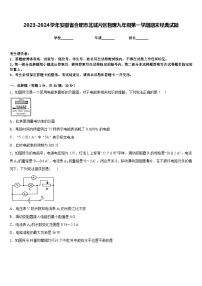 2023-2024学年安徽省合肥市北城片区物理九年级第一学期期末经典试题含答案