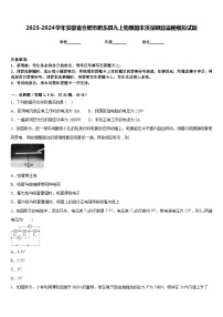 2023-2024学年安徽省合肥市肥东县九上物理期末质量跟踪监视模拟试题含答案