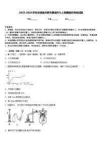 2023-2024学年安徽省合肥市巢湖市九上物理期末预测试题含答案