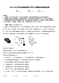 2023-2024学年安徽省宿州第九中学九上物理期末检测模拟试题含答案