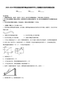 2023-2024学年安徽省合肥市蜀山区琥珀中学九上物理期末质量检测模拟试题含答案