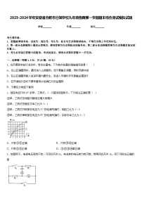 2023-2024学年安徽省合肥市行知学校九年级物理第一学期期末综合测试模拟试题含答案