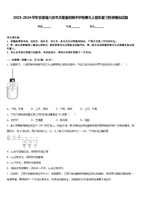 2023-2024学年安徽省六安市天堂寨初级中学物理九上期末复习检测模拟试题含答案