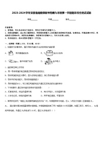 2023-2024学年安徽省南陵县联考物理九年级第一学期期末综合测试试题含答案