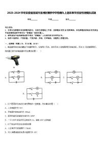 2023-2024学年安徽省宣城市宣州区狸桥中学物理九上期末教学质量检测模拟试题含答案