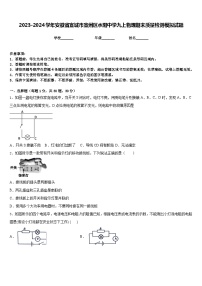 2023-2024学年安徽省宣城市宣州区水阳中学九上物理期末质量检测模拟试题含答案