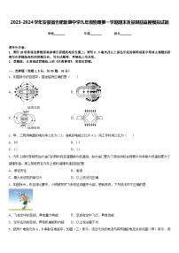 2023-2024学年安徽省合肥新康中学九年级物理第一学期期末质量跟踪监视模拟试题含答案