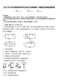 2023-2024学年安徽省合肥中学科大附中九年级物理第一学期期末质量跟踪监视试题含答案