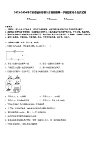 2023-2024学年安徽省利辛县九年级物理第一学期期末综合测试试题含答案