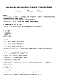 2023-2024学年安徽省合肥市蜀山区九年级物理第一学期期末质量检测试题含答案