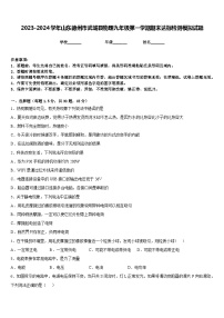 2023-2024学年山东德州市武城县物理九年级第一学期期末达标检测模拟试题含答案