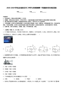 2023-2024学年山东省安丘市二中学九年级物理第一学期期末综合测试试题含答案