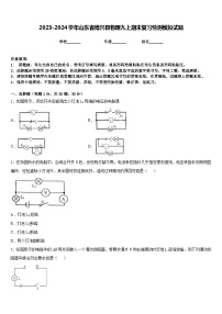 2023-2024学年山东省博兴县物理九上期末复习检测模拟试题含答案