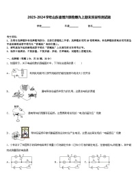 2023-2024学年山东省博兴县物理九上期末质量检测试题含答案