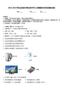 2023-2024学年山东省东平县实验中学九上物理期末综合测试模拟试题含答案