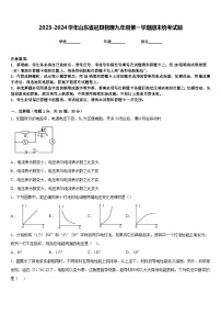 2023-2024学年山东省冠县物理九年级第一学期期末统考试题含答案