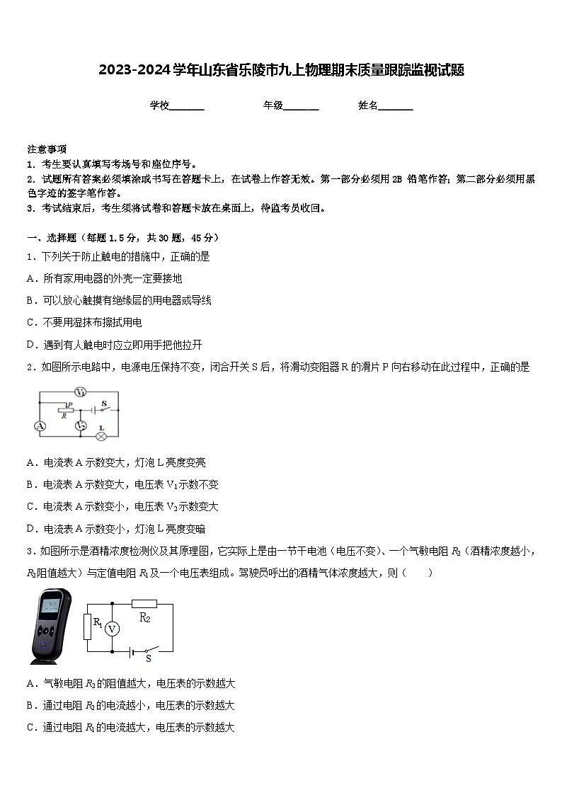 2023-2024学年山东省乐陵市九上物理期末质量跟踪监视试题含答案01