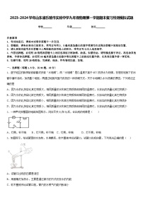 2023-2024学年山东省乐陵市实验中学九年级物理第一学期期末复习检测模拟试题含答案