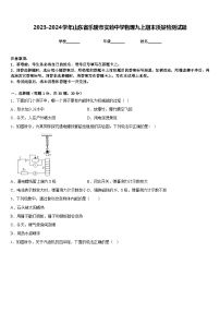 2023-2024学年山东省乐陵市实验中学物理九上期末质量检测试题含答案