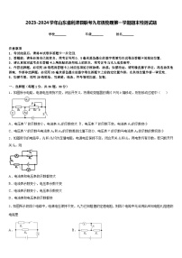 2023-2024学年山东省利津县联考九年级物理第一学期期末检测试题含答案