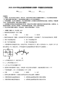 2023-2024学年山东省利津县物理九年级第一学期期末达标检测试题含答案