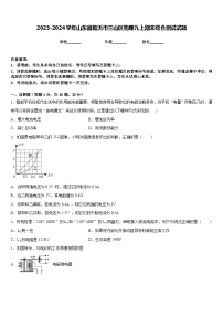 2023-2024学年山东省临沂市兰山区物理九上期末综合测试试题含答案