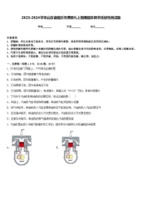 2023-2024学年山东省临沂市费县九上物理期末教学质量检测试题含答案