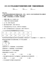 2023-2024学年山东省临沂平邑县联考物理九年级第一学期期末调研模拟试题含答案