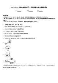 2023-2024学年山东省临沂九上物理期末质量检测模拟试题含答案