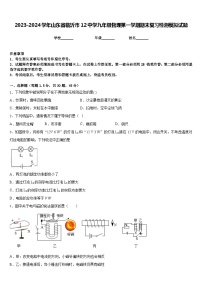 2023-2024学年山东省临沂市12中学九年级物理第一学期期末复习检测模拟试题含答案