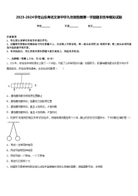 2023-2024学年山东寿光文家中学九年级物理第一学期期末统考模拟试题含答案