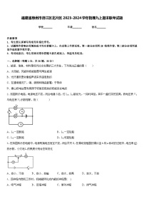 福建省泉州市洛江区北片区2023-2024学年物理九上期末联考试题含答案