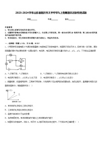 2023-2024学年山东省临沂市太平中学九上物理期末达标检测试题含答案