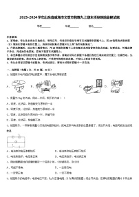 2023-2024学年山东省威海市文登市物理九上期末质量跟踪监视试题含答案