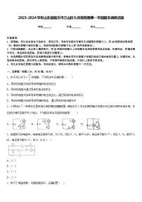 2023-2024学年山东省临沂市兰山区九年级物理第一学期期末调研试题含答案