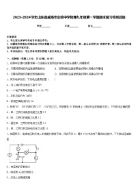 2023-2024学年山东省威海市实验中学物理九年级第一学期期末复习检测试题含答案