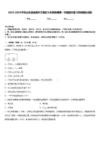 2023-2024学年山东省威海市文登区九年级物理第一学期期末复习检测模拟试题含答案