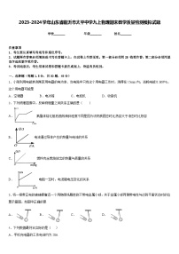 2023-2024学年山东省临沂市太平中学九上物理期末教学质量检测模拟试题含答案