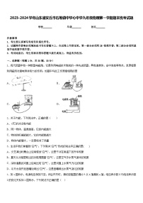 2023-2024学年山东省安丘市石堆镇中学心中学九年级物理第一学期期末统考试题含答案