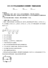 2023-2024学年山东省德州地区九年级物理第一学期期末监测试题含答案