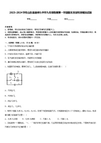 2023-2024学年山东省德州七中学九年级物理第一学期期末质量检测模拟试题含答案