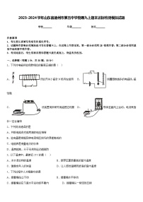 2023-2024学年山东省德州市第五中学物理九上期末达标检测模拟试题含答案