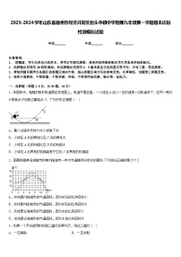 2023-2024学年山东省德州市经济开发区抬头寺镇中学物理九年级第一学期期末达标检测模拟试题含答案